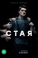 Стая (сериал, НТВ, 2022) - DVD - 20 серий. 6 двд-р