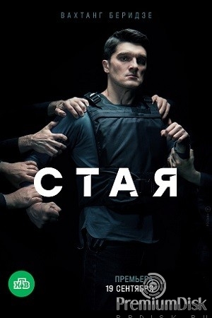 Стая (сериал, НТВ, 2022)