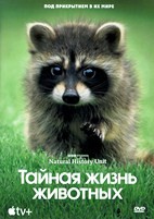 Тайная жизнь животных (сериал) - DVD - 1 сезон, 10 серий. 3 двд-р
