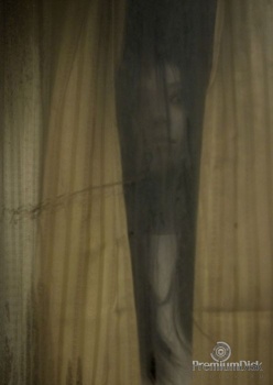 Проклятие 2 (2006)
