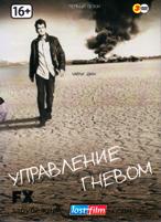 Управление гневом (Чарли Шин) - DVD - 1 сезон. Подарочное