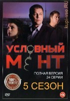 Условный мент - DVD - 5 сезон, 24 серии. 8 двд-р