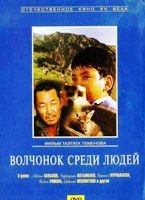 Волчонок среди людей - DVD